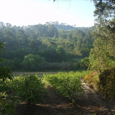 לינה וארוחת בוקר Alfeizerão Quinta Da Vida Serena מראה חיצוני תמונה
